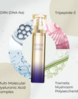 ALL PAIR LIORA BELLE CELESTIA THE LOTION