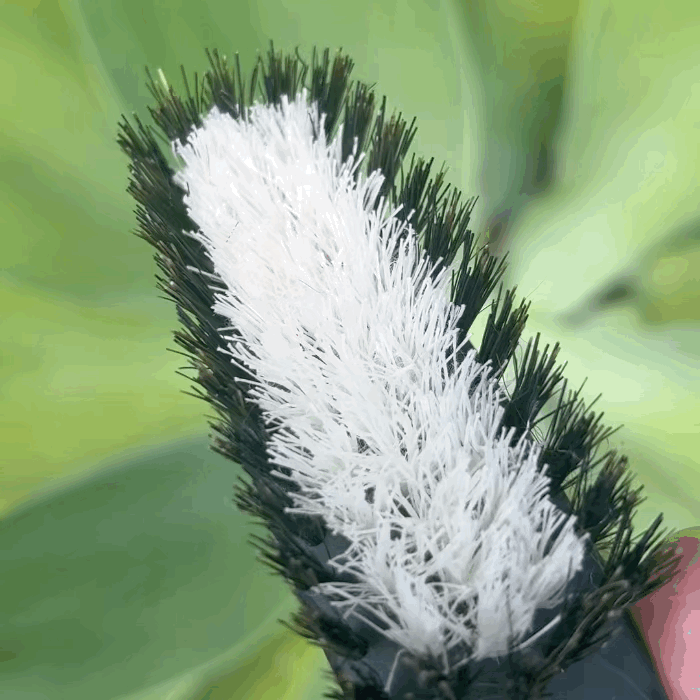 Strainia Silk Care Brush – Beauty Ninja