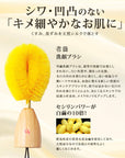 Tomioka Silk Gold Silk Face Brush