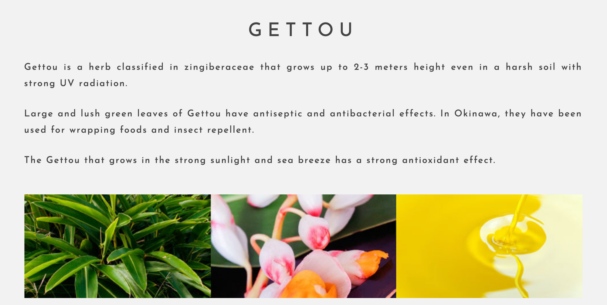 RUHAKU Gettou Balance Lotion