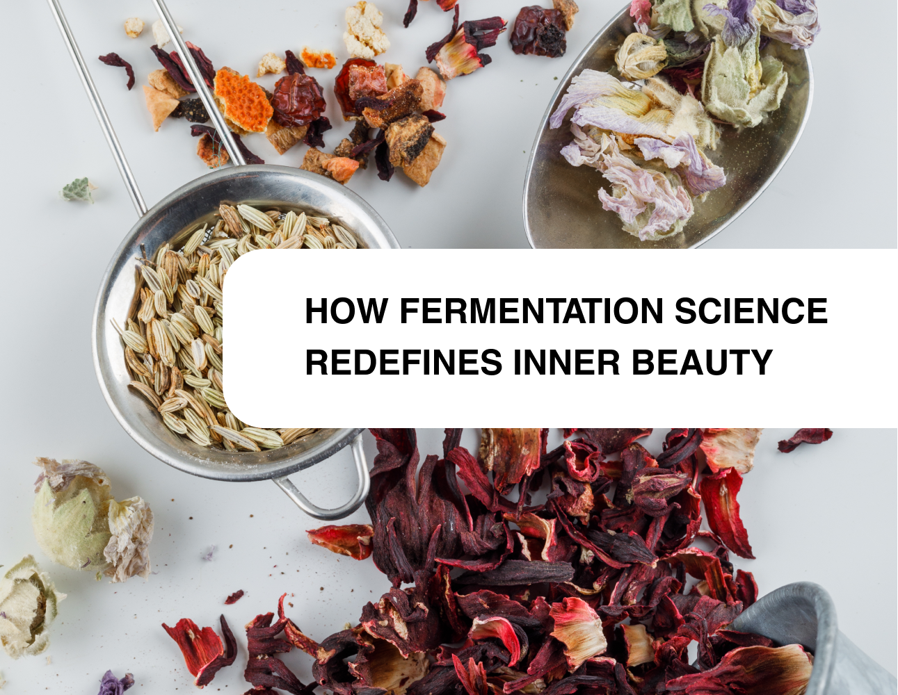 How Fermentation Science Redefines Inner Beauty