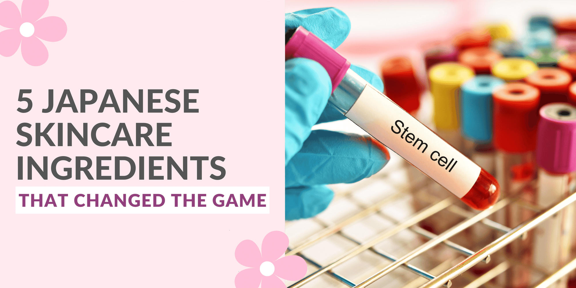 5 Japanese Skincare Ingredients That Changed the Game