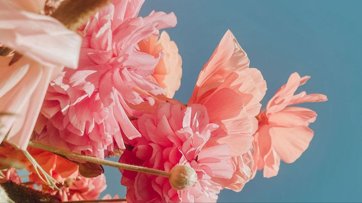 THE MOTHER’S DAY EDIT