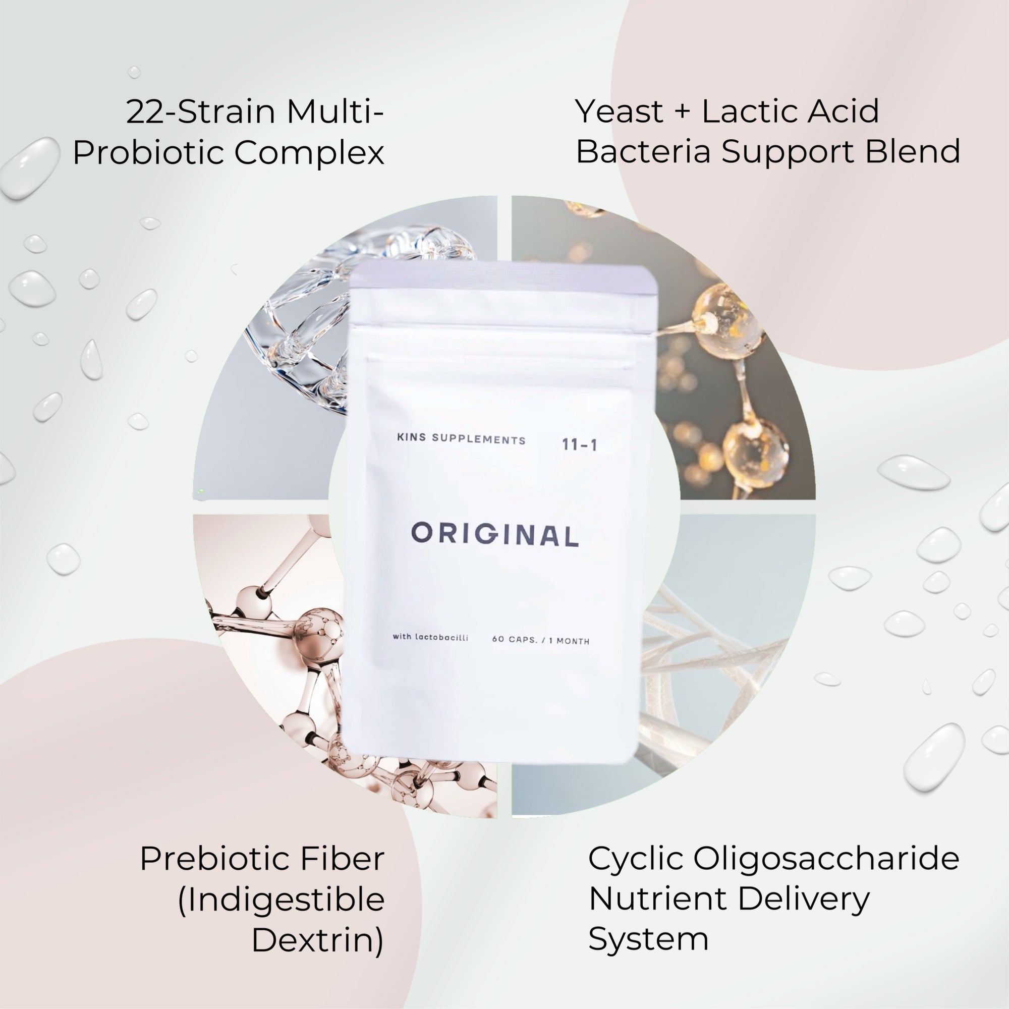 KINS Original Lactic Acid Probiotic Supplement
