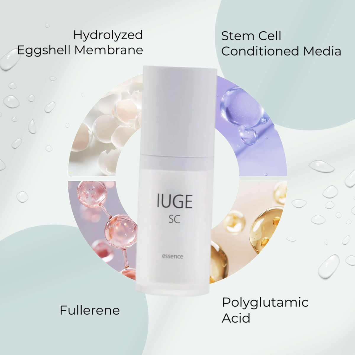 Enzym IUGE SC Essence