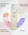 Enzym Cerad Lotion