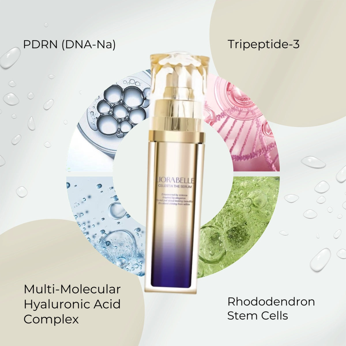 ALL PAIR LIORA BELLE CELESTIA THE SERUM