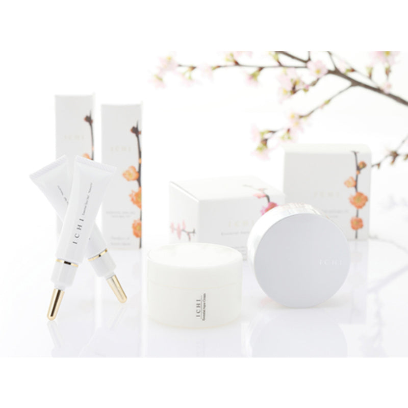 ICHI Oshiroi The Natural Fit Mineral-based Face Powder