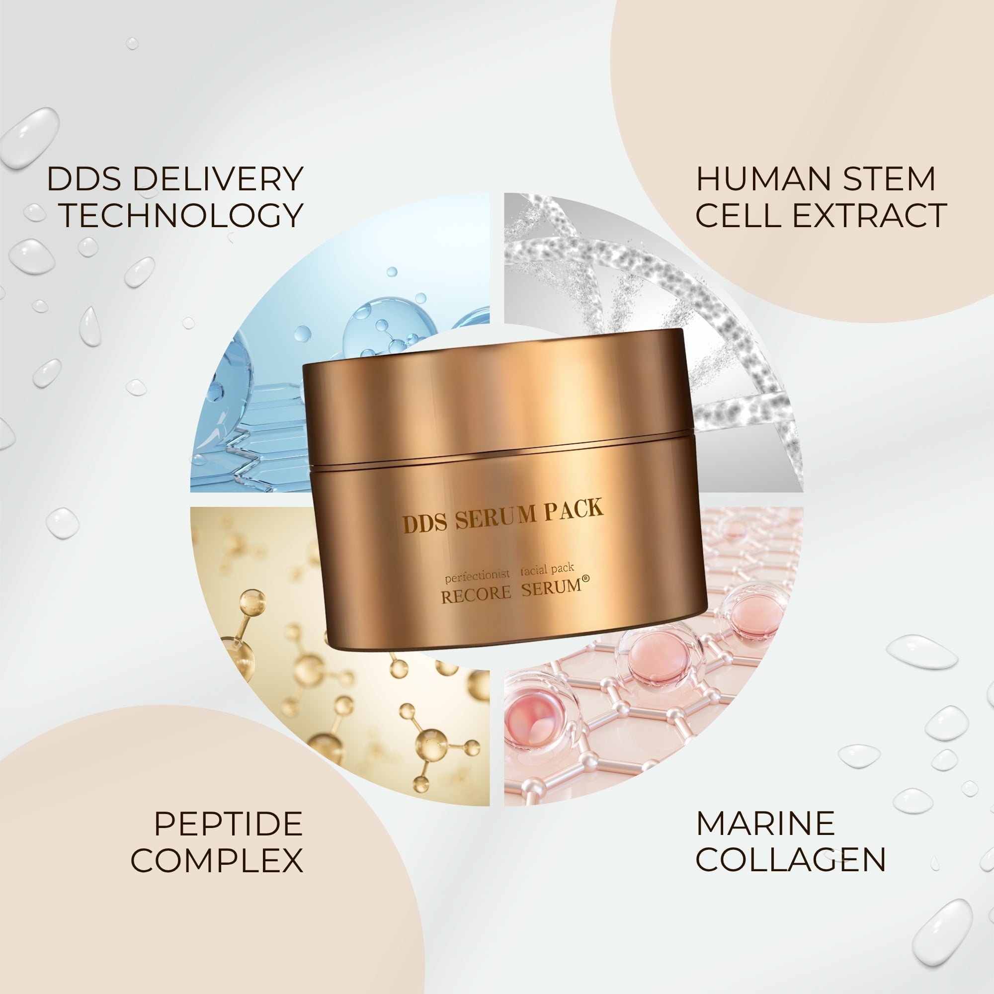 BIJOU DE MER DDS SERUM PACK – Beauty Ninja